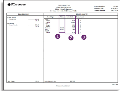 hld billing summary