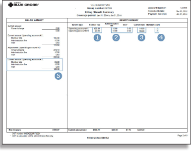 hsa billing summary