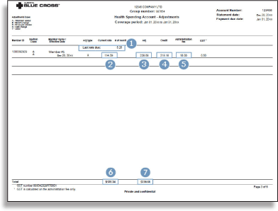 hsa billing summary